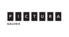 Galerie Pictura